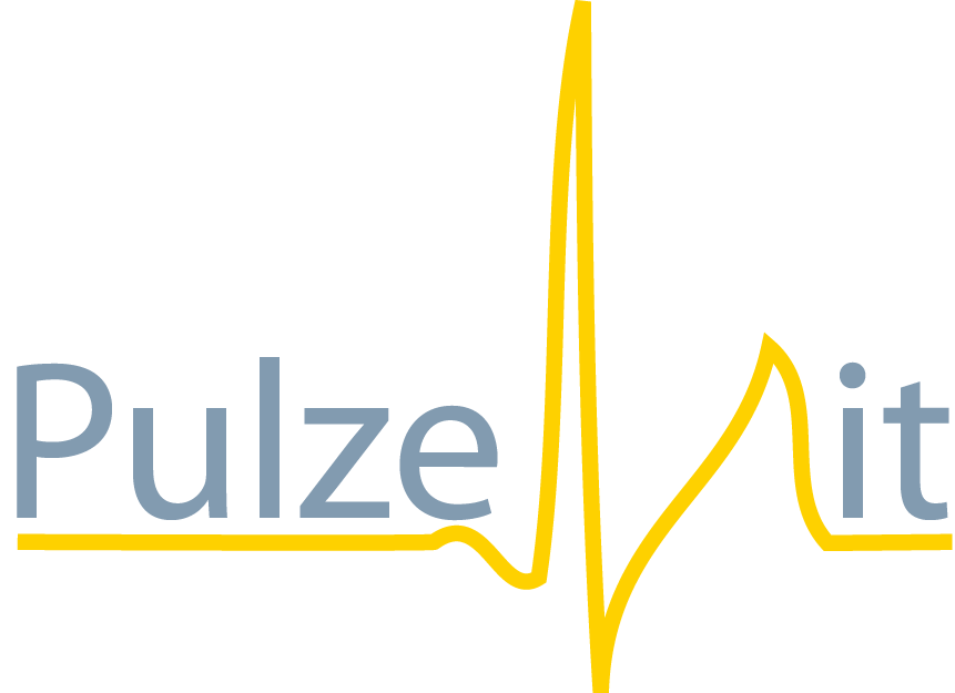 Pulze-IT Computerservices